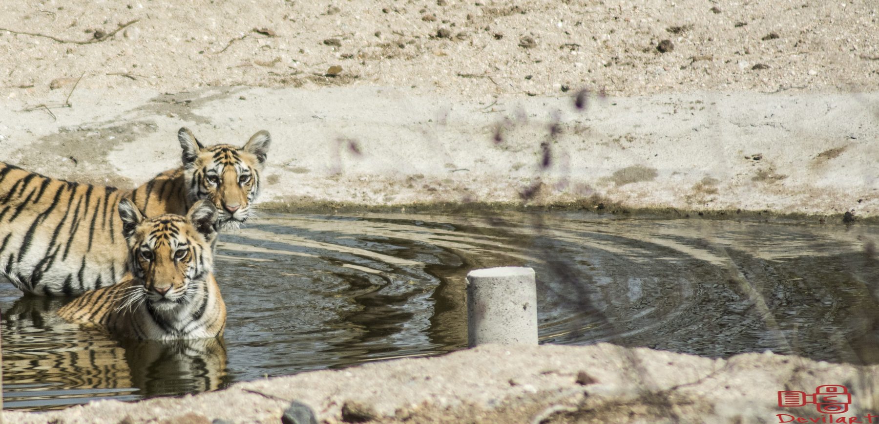 Panna National Park, photograph by AnandKrish