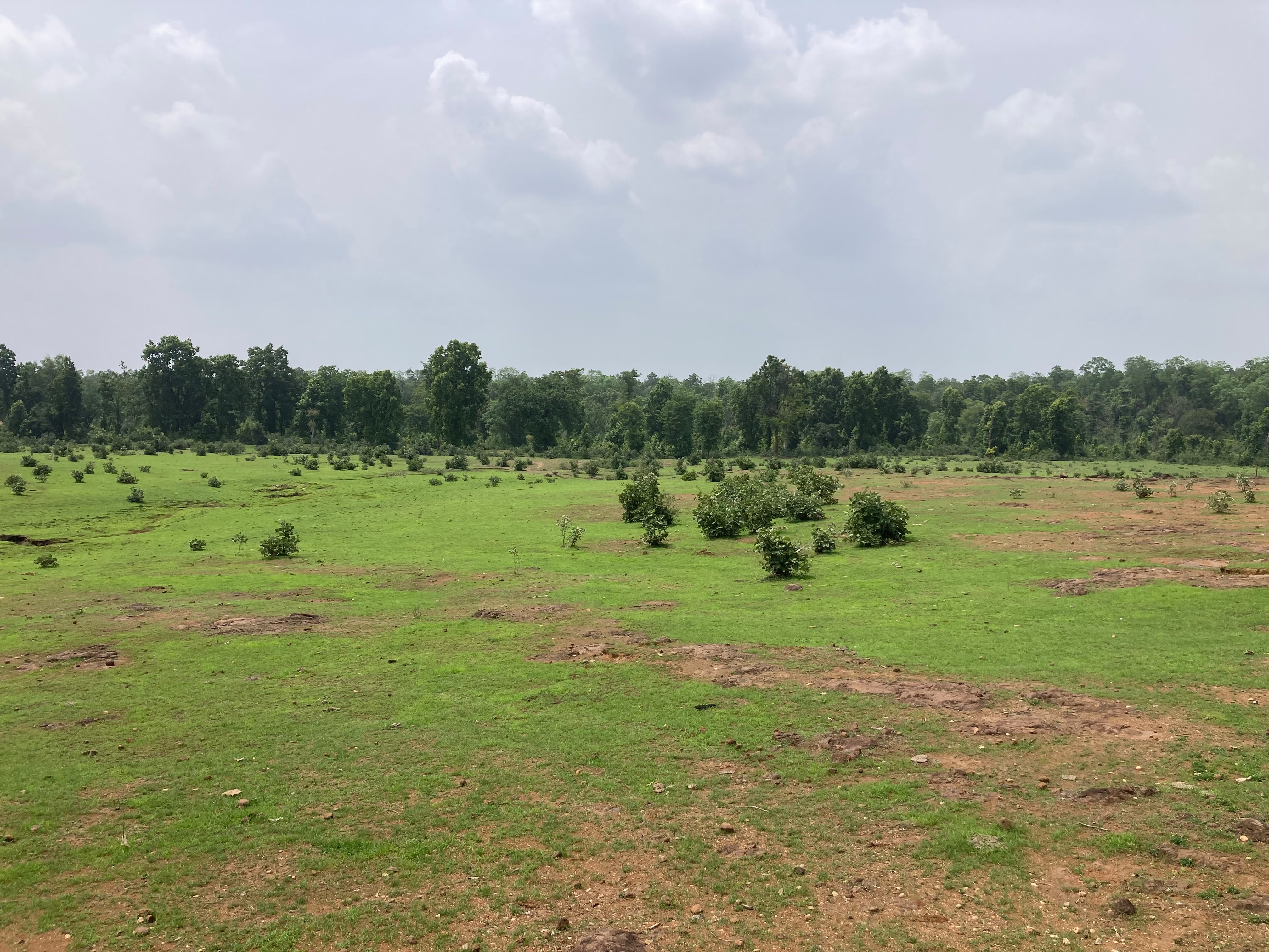Vananansh land, Bandhavgarh